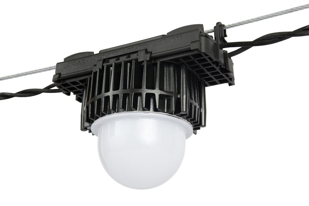 The Ultimate Poultry Farm Lighting System Guide - What to Pick?