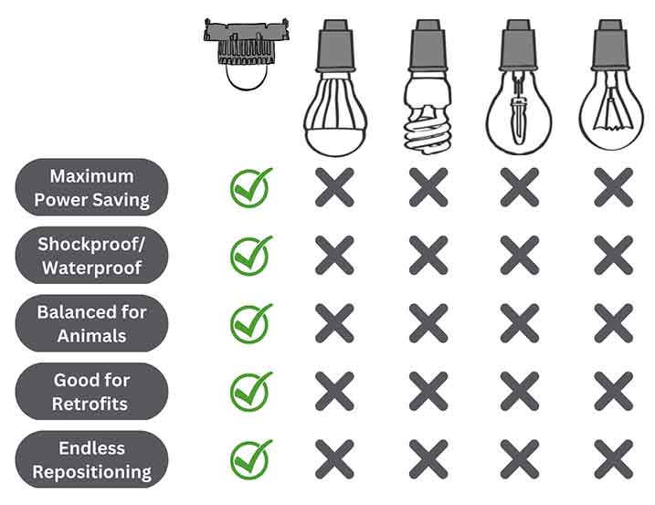 Table with function comparison between different lightbulbs. Top row: Greenage ALIS lamp, consumer grade LED lightbulb, CFL lightbulb, halogen lightbulb, incandescent lightbulb. Left column: maximum power saving, shockproof / waterproof, balanced for animals, good for retrofits, endless repositioning. The ALIS lightbulb has all five of these parameters, the other lightbulbs have none