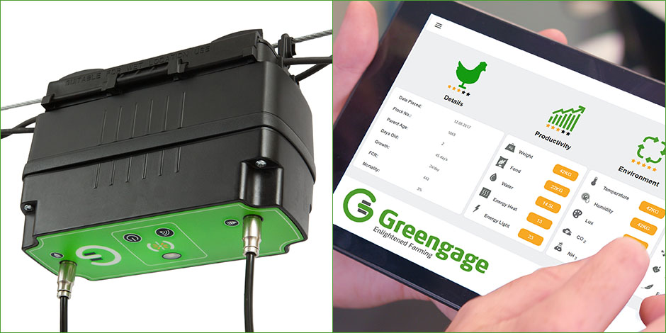 Greengage poultry sensor and cloud app