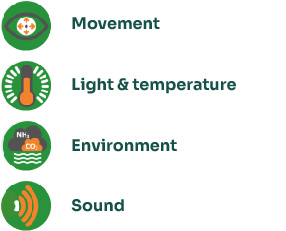 Poultry sensors capable of detecting movement, light and temperature, environmental ambient parameters, sound activity
